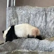あきの画像