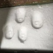 なおやん