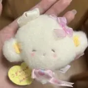 ちゃまの画像