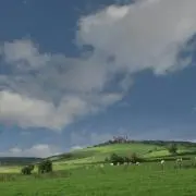 しろ