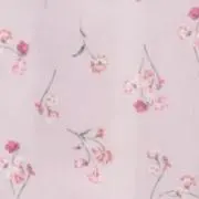 あやの画像