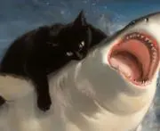 ヤーヤー