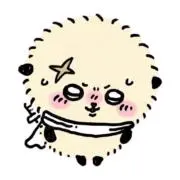 nicoの画像