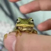 Moguraの画像