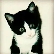 みやつ