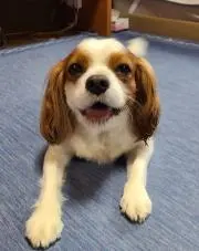 kklkの画像
