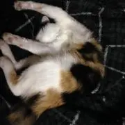 ま〜こ