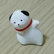 ソラの画像