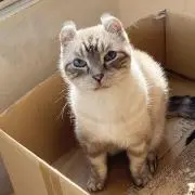 みぃ♡の画像