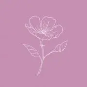 ゜・*. ❁ agu ❁ .*・゜の画像