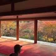 あきらあきら