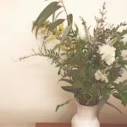 a.の画像
