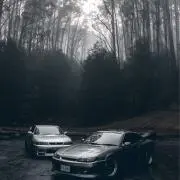 黒豆の画像