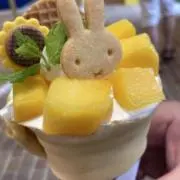 トムの画像