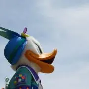 ハル✿*: