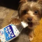 Ma