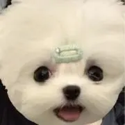 なべの画像