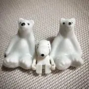 えいの画像