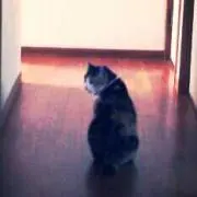 なほ