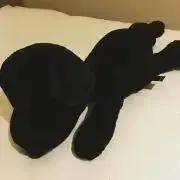 techi・自己紹介欄必読下さい。の画像