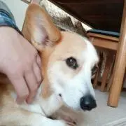 naoさん