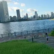 よっぴーの画像