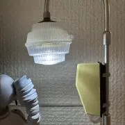 くしゅの画像