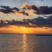 cocoの画像