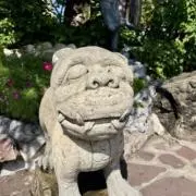 ぴの画像