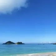 AI／値引きコメント返信しませんの画像