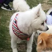 けいこ