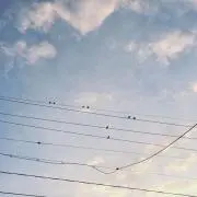 おぶの画像