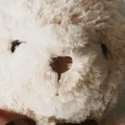 ころぞうの画像