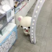 断捨離中!!コメント待ってます!!