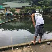 dkの画像
