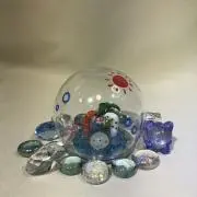 茉莉の画像