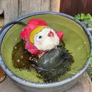 ふじもんの画像