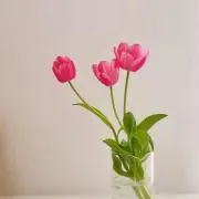 Rii♡の画像