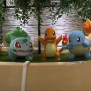 との画像