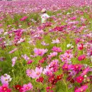 まぁ(プロフみてね)の画像