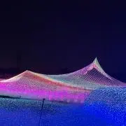 蒸しパンの画像