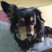 BOO