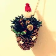 花梨