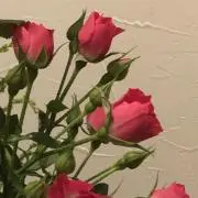 東さやか
