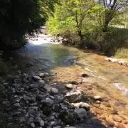 田舎の車好き