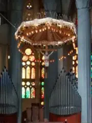 オオムラサキの画像