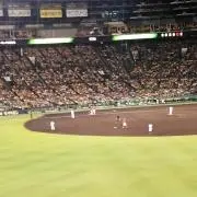 フィットネスの画像