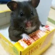 みや
