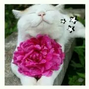 mizu_☆の画像