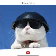 mskz 21の画像